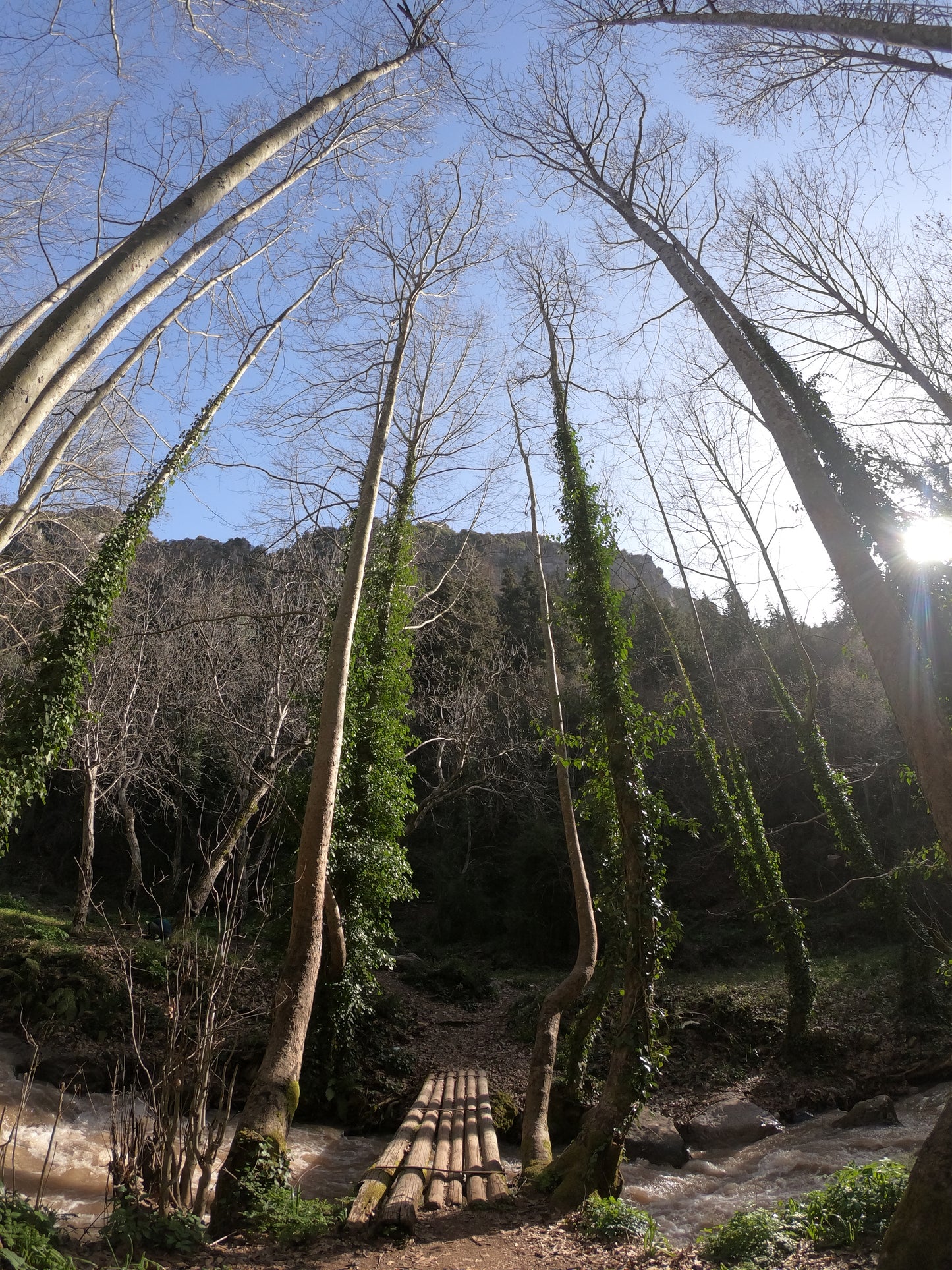 Wadi Qannoubine