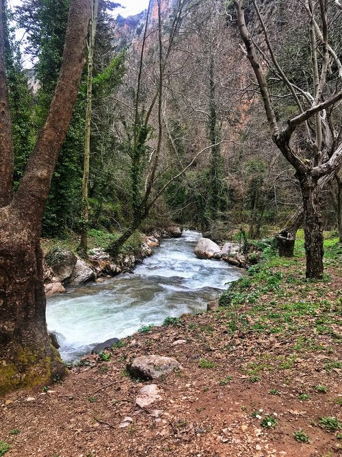 Wadi Qannoubine